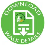 Stevo Stumble Walk Details